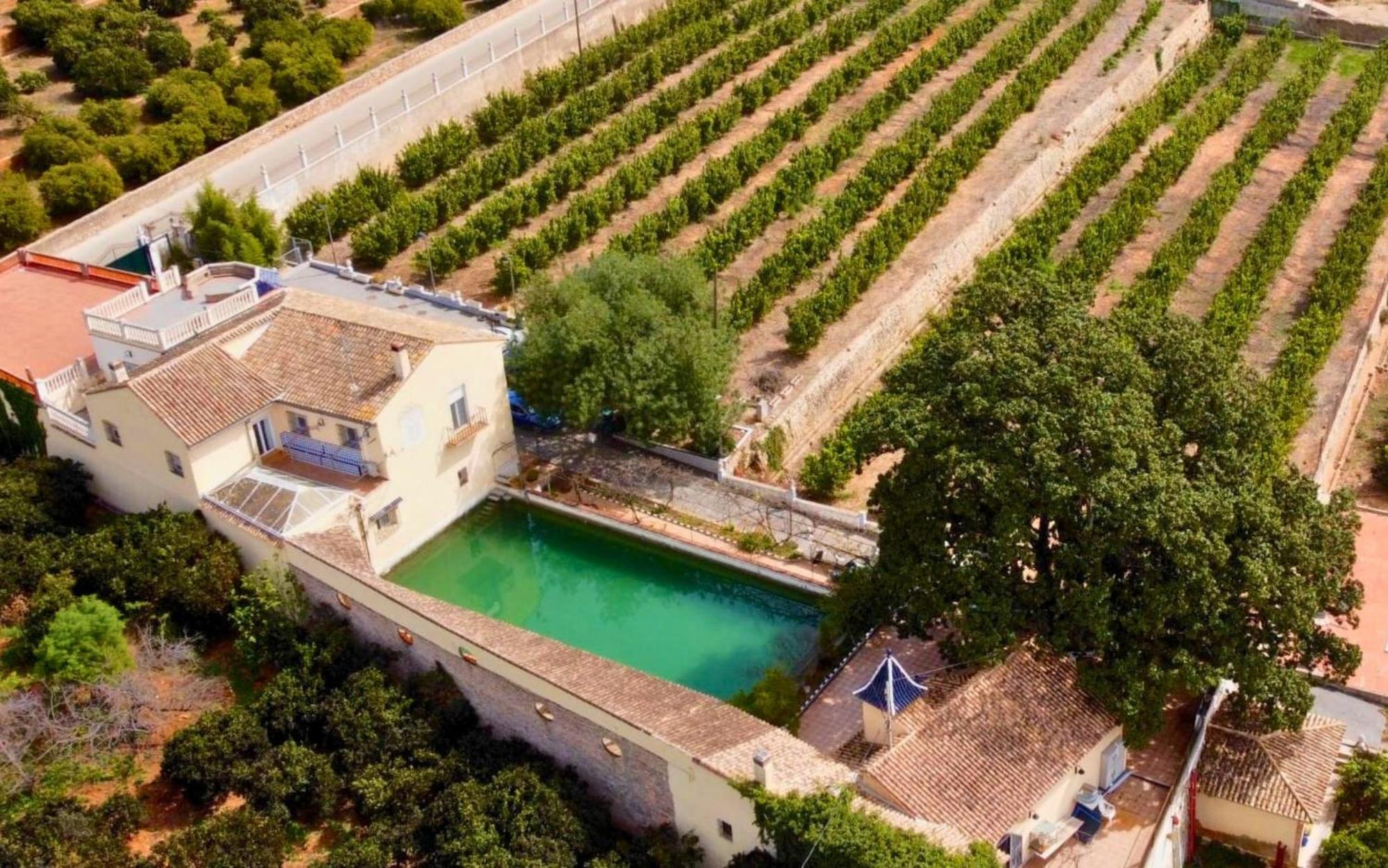 Casa Magnolia, A Rural Paradise House With Pool Alzira Exterior foto